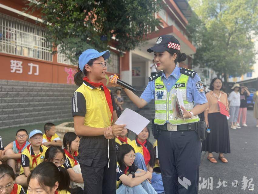 伟菠菜策论网